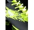 Полуботинки кроссовые AS4 Furia Turf 504A18 black/lime 4690222175080 12