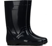 Женские сапоги Дарина Д18 черные, р.36 4680019781365