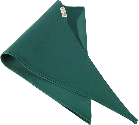 Косынка СОЮЗСПЕЦОДЕЖДА El-Risto dark green/темно-зеленый 2000000068169