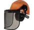 Комплект защиты головы Delta Plus ЛЕСНИК FORESTIER2 FORE2OR 1