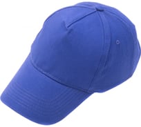 Каскетка СИБРТЕХ василёк 89187