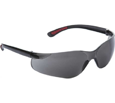 Очки COVERGUARD EURO PROTECTION PHI затемненные 6PHI3