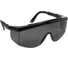 Очки EURO PROTECTION EPSILON затемненные COVERGUARD 6EPS3 5450564000124 1