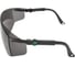 Очки EURO PROTECTION EPSILON затемненные COVERGUARD 6EPS3 5450564000124 3