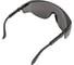 Очки EURO PROTECTION EPSILON затемненные COVERGUARD 6EPS3 5450564000124 4