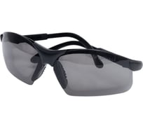 Очки COVERGUARD EURO PROTECTION THETA затемненные 6THE3