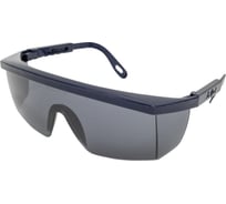 Очки COVERGUARD LUX OPTICAL ECOLUX затемненные 60363