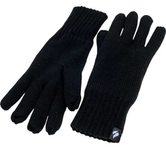 Мужские термоперчатки Heat Holders ARVID L/XL, black BSGHH91LXBLK
