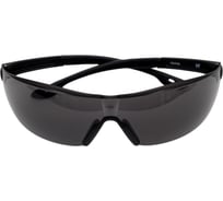 Очки COVERGUARD EURO PROTECTION RHO затемненные 6RHO3