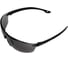 Очки COVERGUARD EURO PROTECTION RHO затемненные 6RHO3 2