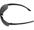 Очки COVERGUARD EURO PROTECTION RHO затемненные 6RHO3 3