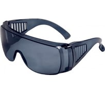 Затемненные очки ГК Спецобъединение ЗАЩИТА Очк 050.02