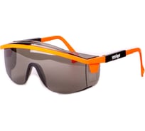 Защитные очки AMIGO серые 74213