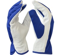 Комбинированные перчатки ARCTICUS кожа наппа, размер 9 9900-91