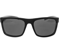 Очки поляризационные в жестком чехле Nisus (серый) (N-OP-LZ0308-G) 360991