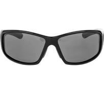 Очки поляризационные в жестком чехле Nisus (серый) (N-OP-LZ0007-G) 360999