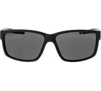 Очки поляризационные в жестком чехле Nisus серый, (N-OP-PF2015-G) 360997