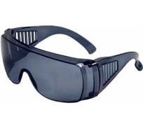 Очки ГК Спецобъединение ЗАЩИТА, затемненные (ТРУД-03) Очк 050.02/-