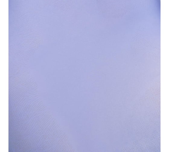 Перчатки нитриловые хозяйственные Paclan 100 шт, р.L 407881