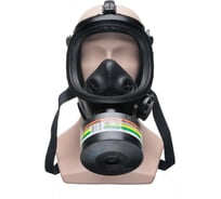 Противогаз фильтрующий ДОТпро 320 А2В2Е2К2Р3 R D с маской ППМ-88 рост 2 размер С 102-133-0048