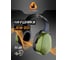 Противошумные наушники Sonus Max 32 дБ (20 шт) Jeta Safety JEM-201-box 3