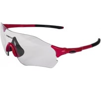 Спортивные очки VENZO VZ20-F27-014 RGLVZ20F2702