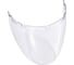 Прозрачный щиток из поликарбоната Delta Plus VISOR TORIC CLEAR VISORTOIN 1