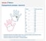 Перчатки 2Hands 5111, р-р 9, интерлок/полное нитриловое покрытие (пакет 12 пар) 5111 - 9 (пакет 12 пар) 2