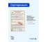 Респиратор Респираторный комплекс Алина-213 20499 6