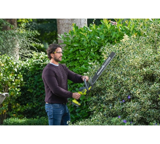 Защитные очки Ryobi RSG01 5132005351