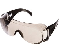 Защитные открытые очки РОСОМЗ О35 ВИЗИОН super 5-2,5 PC 13523