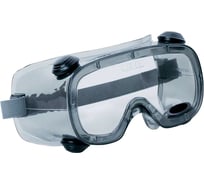 Закрытые защитные очки Delta Plus RUIZ1 с прозрачной линзой RUIZ1VI