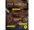Закрытые защитные очки Delta Plus MURIA1VD 10