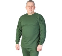 Зимняя фуфайка с начесом БЕРТА, 100% хлопок, оливковый 719о-56-58