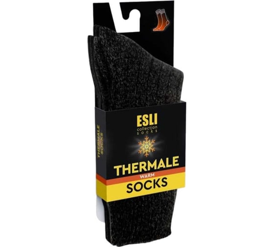 Носки мужские ESLI WS001 TERMALE (Термоноски) SOCKS WARM размер 27-29, черный 1001332250040012
