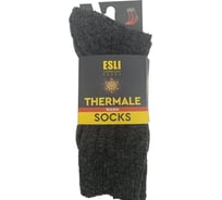 Носки мужские ESLI AS001 TERMALE (Термоноски) SOCKS WARM размер 27-29, серый 1001332240040016