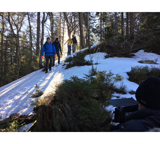 Водонепроницаемые носки DexShell Trekking Green, M/39-42, DS636M