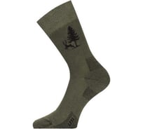 Носки Lasting LFSL 620, cotton+polyamide, зеленый с рисунком, размер M LFSL620-M
