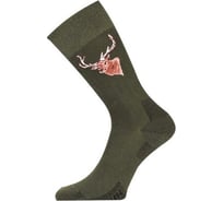 Носки Lasting LFSJ 620, cotton+polyamide, зеленый с рисунком, размер L LFSJ620-L