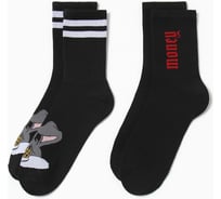 Набор мужских носков KAFTAN Money 2 пары, р. 41-44 (27-29 см) 9921734