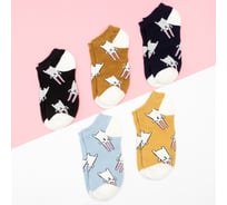 Набор носков KAFTAN "Have a nice day" 5 пар, р-р 36-39 4676789