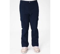 Брюки утепленные Orlov-sky 5080200/4 "Умелец" размер 60-62, рост 158-164, цвет карбон 4670093488298