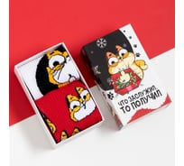 Набор мужских носков KAFTAN "Кот" размер 41-44 (27-29 см), 2 пары 6969407