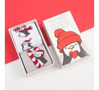 Набор женских носков KAFTAN "Пингвин" размер 36-40 (23-25 см), 2 пары 5096515