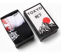 Набор мужских носков KAFTAN Tokyo, размер 41-44 (27-29 см), 2 пары 10679647