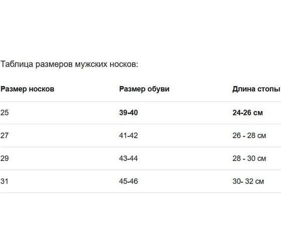 Мужские носки Факел черный, размер 25 87469601.001