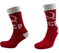 Мужские носки ООО НИА р.25-27 ВС-41