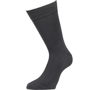 Мужские носки ESLI 42s-200, р.27-29, 000 темно-серый 1001331520040373000