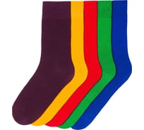 Мужские носки Virtuoso Классик, 5 пар, р-р 29, разноцветные 540