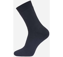 Мужские носки БРЕСТСКИЕ 2420 arctic, р.25, 000 черный 11034003024000